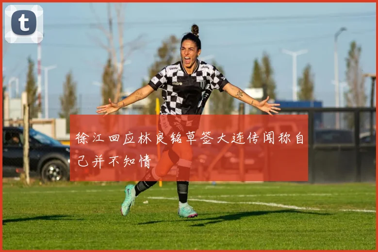 徐江回应林良铭草签大连传闻称自己并不知情